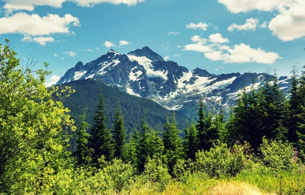Güzel Peak Mount Shuksan Washington Abd — Stok fotoğraf