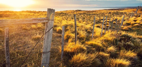 Piękne Krajobrazy Zachodu Słońca Trawa Płot Południowo Amerykańskiej Pampie Chile — Zdjęcie stockowe