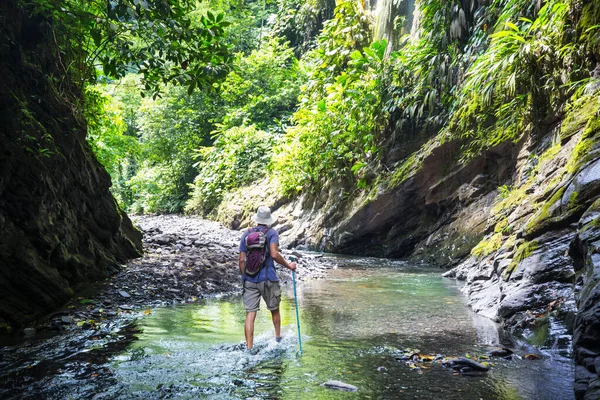 Man Wandeling Sleuf Canyon Colombië Zuid Amerika — Stockfoto