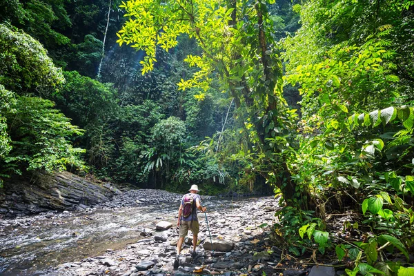 在哥伦比亚 南美洲的狭长地带峡谷里徒步旅行的人 — 图库照片