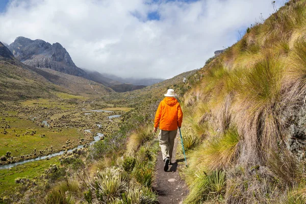 Turysta Wysokich Górach Kolumbii Ameryka Południowa — Zdjęcie stockowe