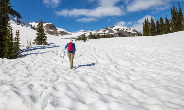 Hiker Snow Early Summer — Stock Photo, Image