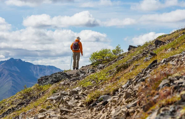 Турист Красивых Горах Территориальном Парке Тумбстоун Юкон Канада — стоковое фото