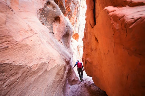 Slot Canyon Grand Staircase Escalante National Park Utah Usa Ovanliga — Stockfoto