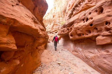 Utah, ABD 'deki Grand Staircase Escalante Ulusal Parkı' ndaki Slot Kanyonu. Utah çöllerinde alışılmadık renkli kumtaşı oluşumları yürüyüşçüler için popülerdir..