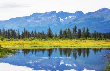 Alaska tundrasında dinginlik gölü.