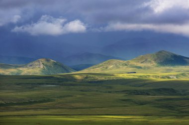 Kutup dairesinin üstündeki Tundra manzaraları