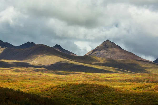 Tundra Landscapes Arctic Circle Autumn Season Beautiful Natural Background — Stock fotografie