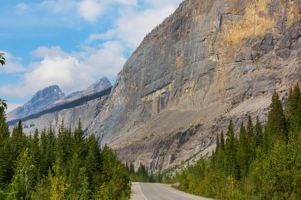 夏のカナダの森の高速道路 — ストック写真