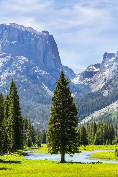 Piękne Górskie Krajobrazy Zasięgu Wind River Wyoming Usa Sezon Letni — Zdjęcie stockowe