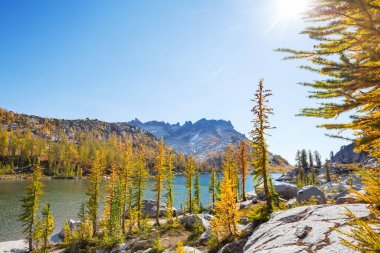 Washington, ABD 'deki güzel Alp gölleri vahşi doğa alanı