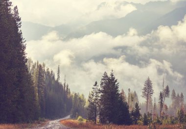 Dağlarda güzel bir sabah manzarası. Gün doğumunda sis.