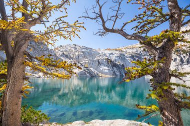 Washington, ABD 'deki güzel Alp gölleri vahşi doğa alanı