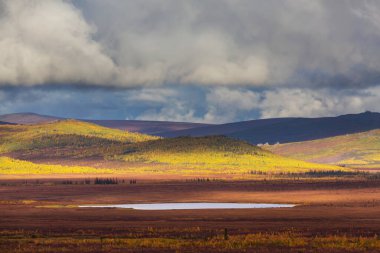 Tundra landscapes above Arctic circle in autumn season. Beautiful natural background.