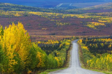 Tundra landscapes above Arctic circle in autumn season. Beautiful natural background.