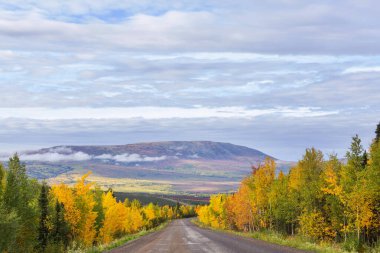 Tundra landscapes above Arctic circle in autumn season. Beautiful natural background.