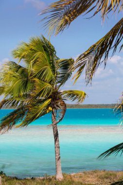 Meksika 'daki Laguna Bacalar' ın güzel manzarası