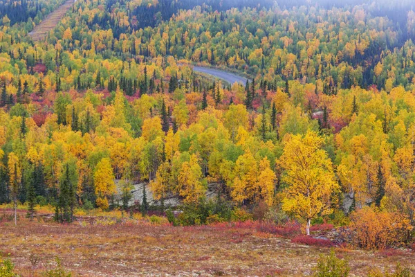 五彩缤纷的秋景映衬在森林的乡村道路上 — 图库照片