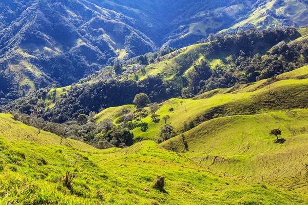 Krajobrazy Wiejskie Zielonych Kolumbijskich Górach — Zdjęcie stockowe