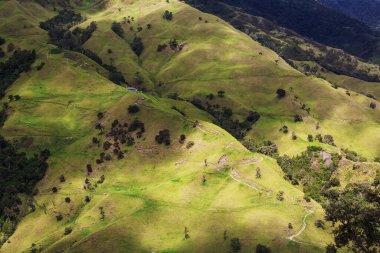 Yeşil Kolombiya dağlarındaki kırsal alanlar
