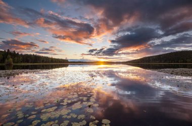 Sunset scene on the lake at sunset summer nature landscapes