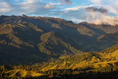 Kolombiya 'daki güzel yüksek dağlar.