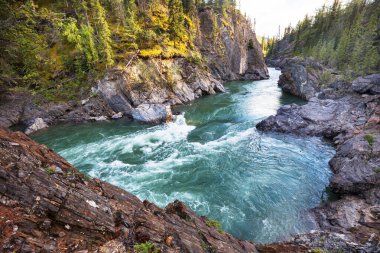 Beautiful mountains river in summer season, Canada