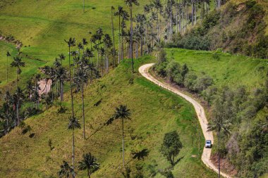 Güney Amerika, Kolombiya 'da kırsal yol