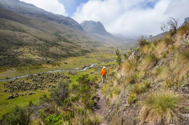 Kolombiya, Güney Amerika 'da yüksek dağlarda yürüyüş yapan bir yürüyüşçü.