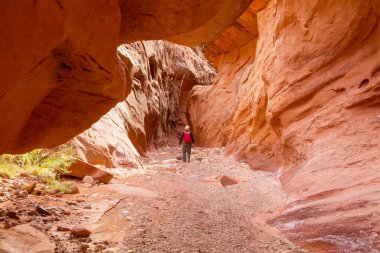 Utah, ABD 'deki Grand Staircase Escalante Ulusal Parkı' ndaki Slot Kanyonu. Utah çöllerinde alışılmadık renkli kumtaşı oluşumları yürüyüşçüler için popülerdir..