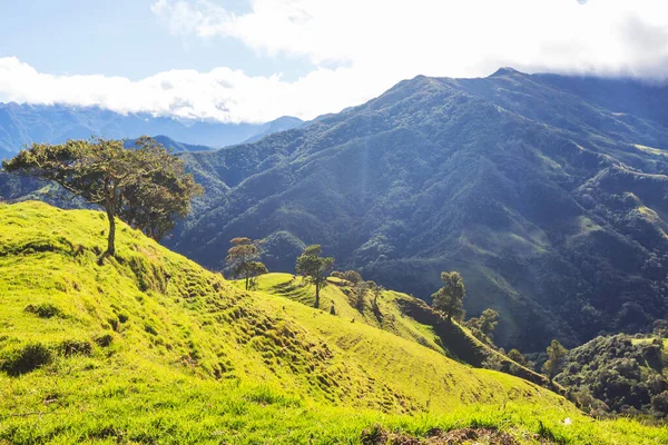 Venkovské Krajiny Zelených Kolumbijských Horách — Stock fotografie