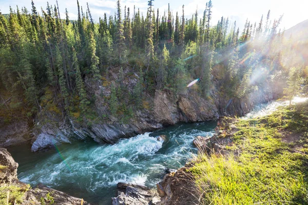 Beautiful Mountains River Summer Season Canada — Stockfoto