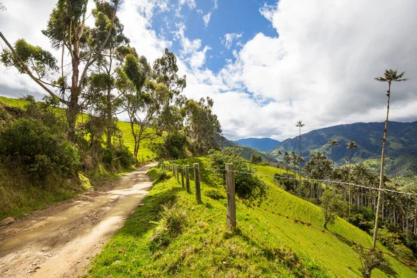 Droga Wiejska Kolumbii Ameryka Południowa — Zdjęcie stockowe