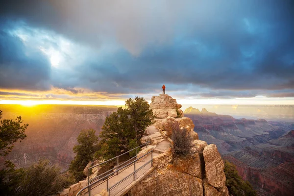 Traveler Cliff Mountains Grand Canyon National Park Arizona Usa Inspiring — Stock Photo, Image