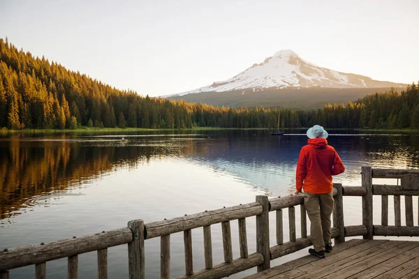 Mount Hood Reflection Trillium Lake Oregon Usa Beautiful Natural Landscapes — Stockfoto