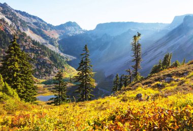 Autumn season in mountains. Colorful natural background.