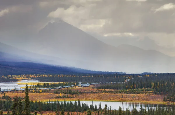 Usa Alaska Dalton Highway Pipeline Dans Vallée — Photo