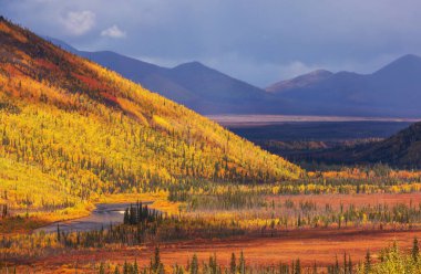 Tundra landscapes above Arctic circle in autumn season. Beautiful natural background.