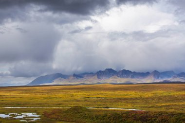 Tundra landscapes above Arctic circle in autumn season. Beautiful natural background.