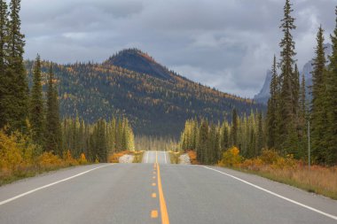 Tundra landscapes above Arctic circle in autumn season. Beautiful natural background.
