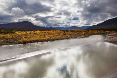Tundra landscapes above Arctic circle in autumn season. Beautiful natural background.