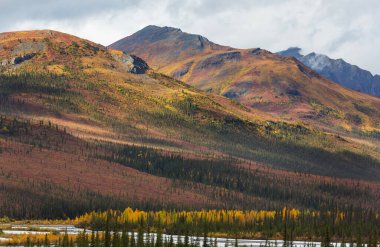 Tundra landscapes above Arctic circle in autumn season. Beautiful natural background.