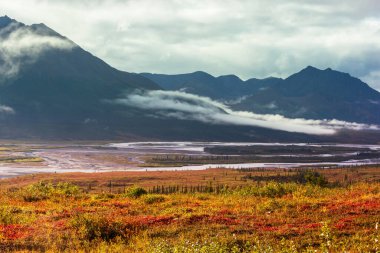 Tundra landscapes above Arctic circle in autumn season. Beautiful natural background.