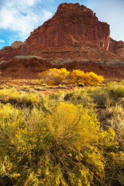 Autumn season in Utah mountains, USA