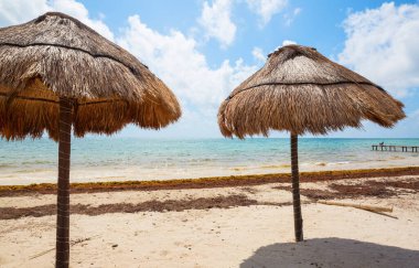 Okyanus kıyısındaki lüks plajlar. Tatil ve tatil konsepti. Tropik plaj.