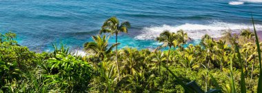 Güneşli bir günde inanılmaz Hawaii plajı.