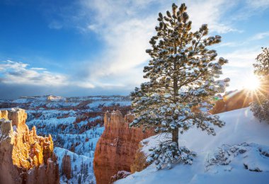 Kış mevsiminde Bryce Canyon Ulusal Parkı 'nın renkli pembe kayaları Utah, ABD