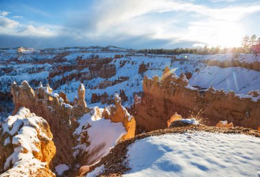 Kış mevsiminde Bryce Canyon Ulusal Parkı 'nın renkli pembe kayaları Utah, ABD