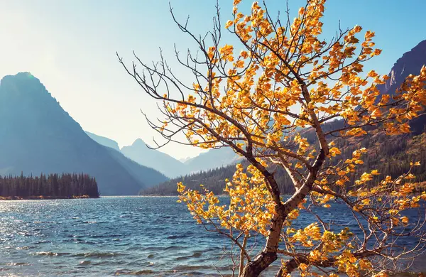 Malerische Felsgipfel Des Glacier National Park Montana Usa Herbstzeit Schöne — Stockfoto