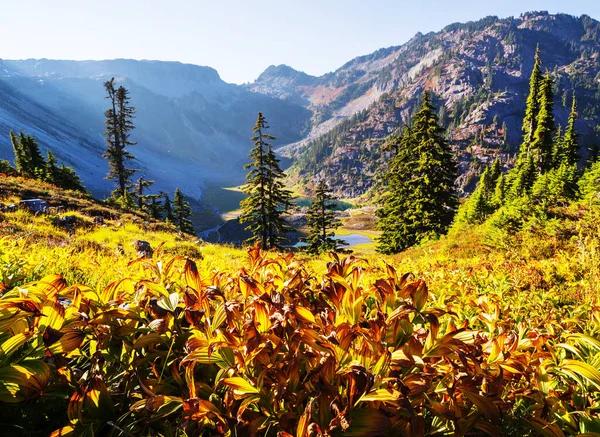 Barevné Podzimní Období Horách — Stock fotografie